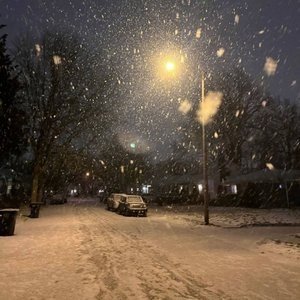 snow day.